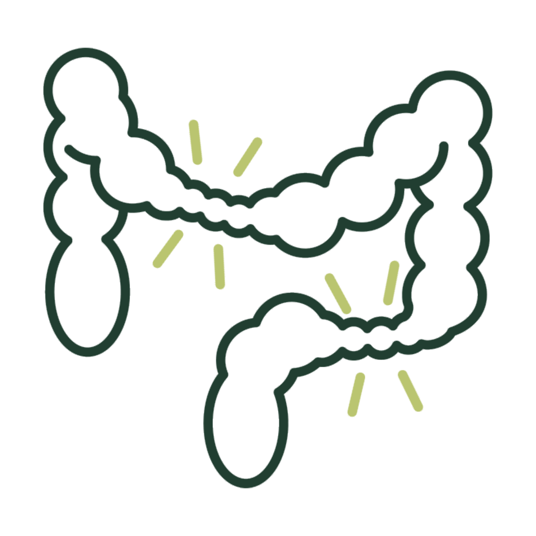 IRRITABLE BOWEL SYNDROME